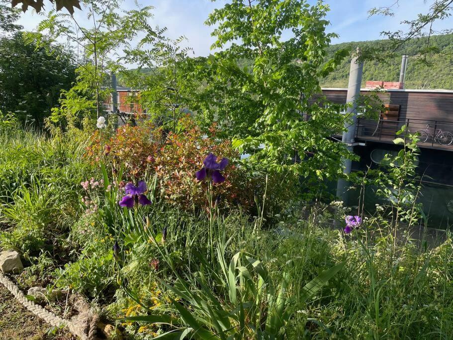 Maison Fleurs De Lys, Climatisee, Wifi Et Parking Privee Gratuit, Lave-Linge, Vernon Giverny Exterior foto
